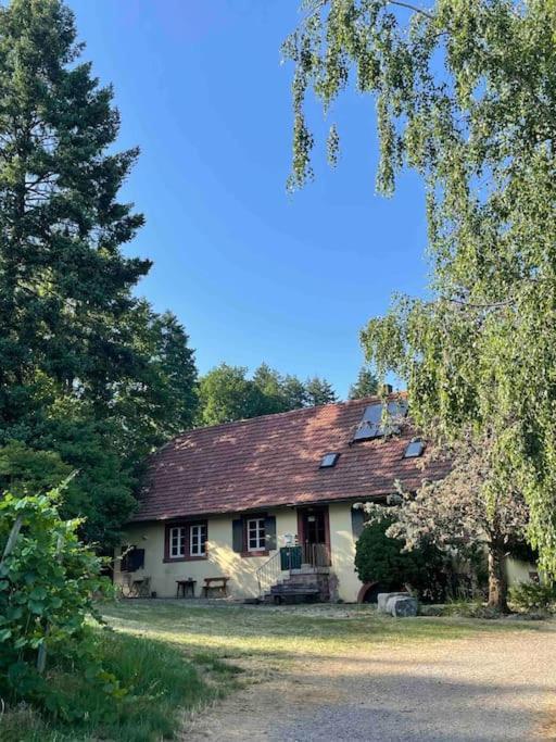 Rebhaus Durbach Villa Exterior photo
