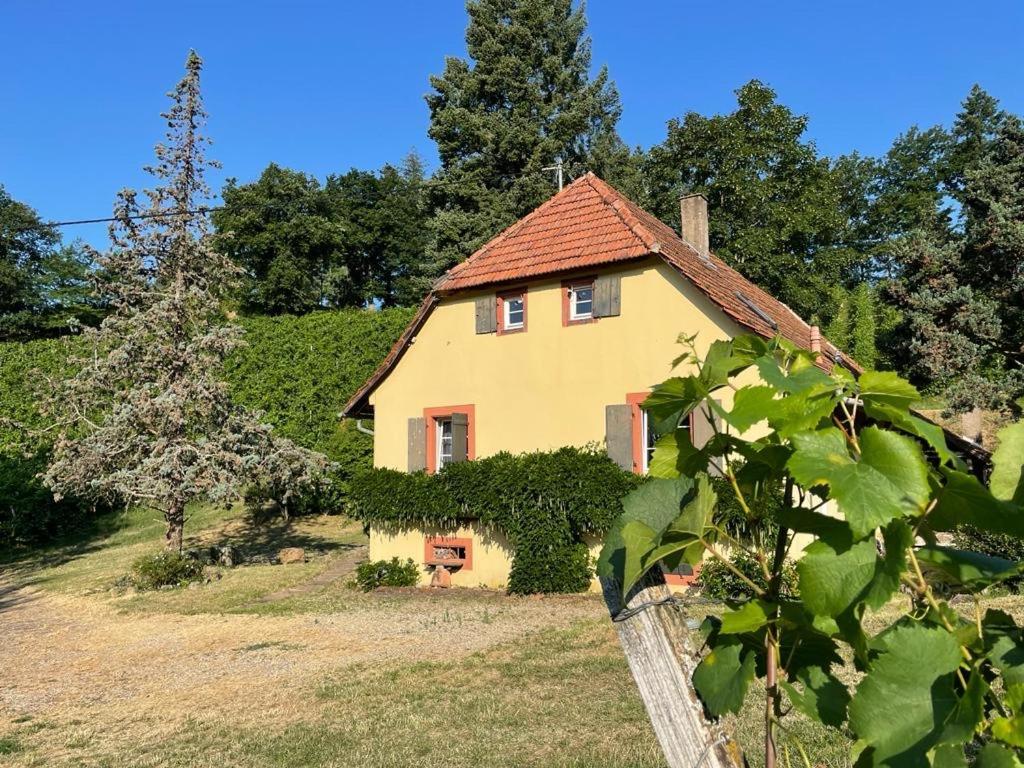 Rebhaus Durbach Villa Exterior photo